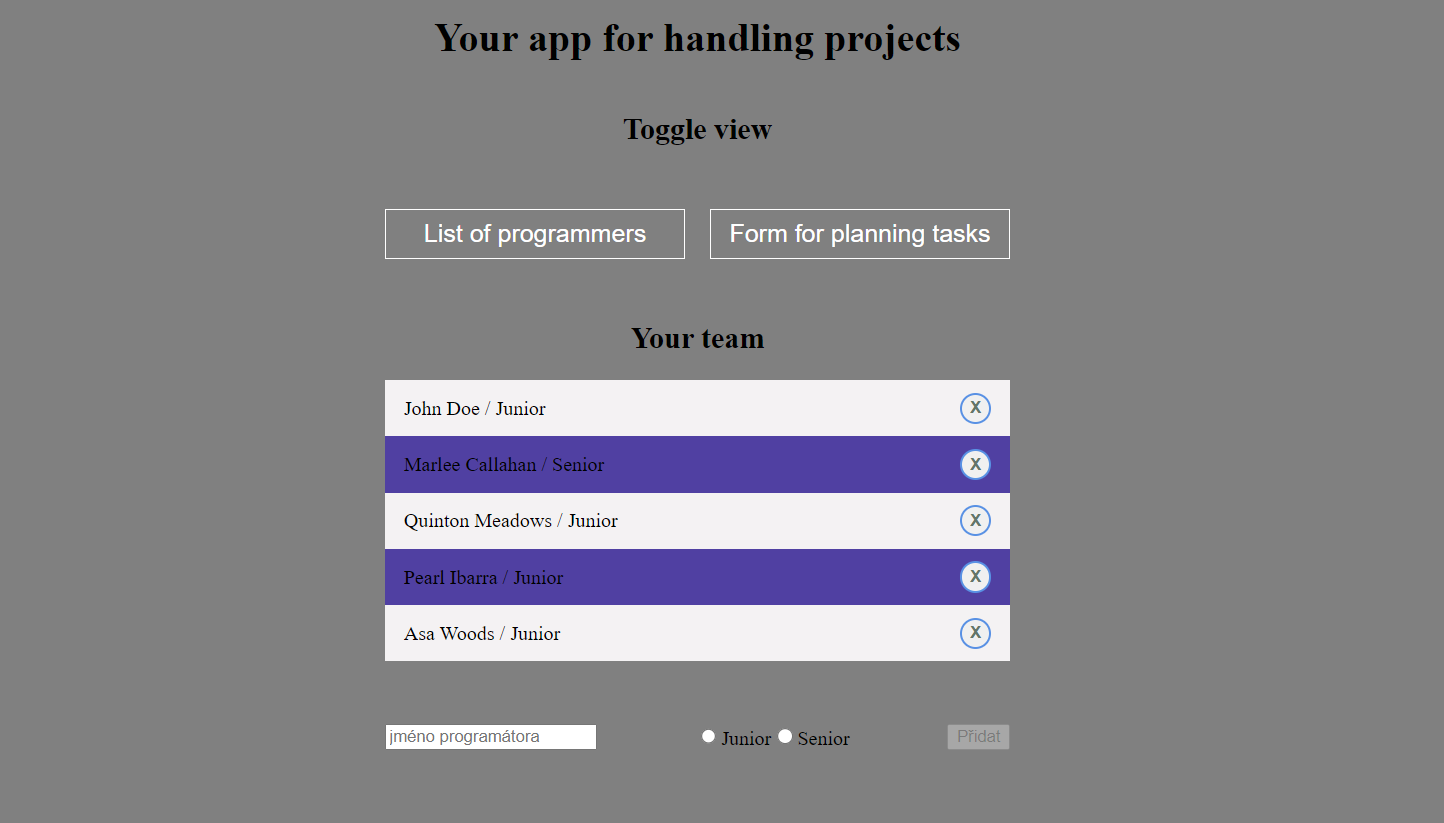 ProgrammersApp